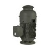 Motor 40Hp 2 Pol Arm 324Tp Vertical Flecha Hueca Nema Hs100 Abb