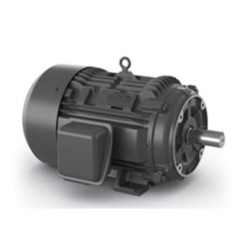 Motor 1Hp 2 Pol Arm 143T...