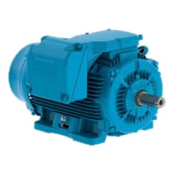 Motor Trifasico 3Hp 6 Polos...