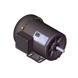 Motor Trifasico 0.25Hp 6...