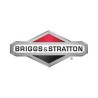 BRIGGS AND STRATTON